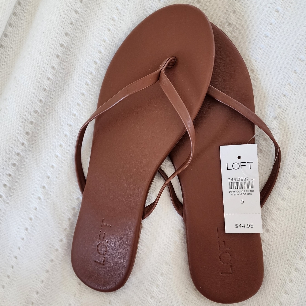 LOFT leather flip flops